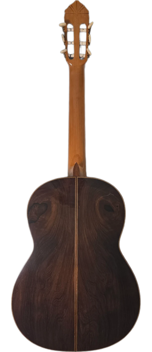 El Almería · back view · Brazilian rosewood