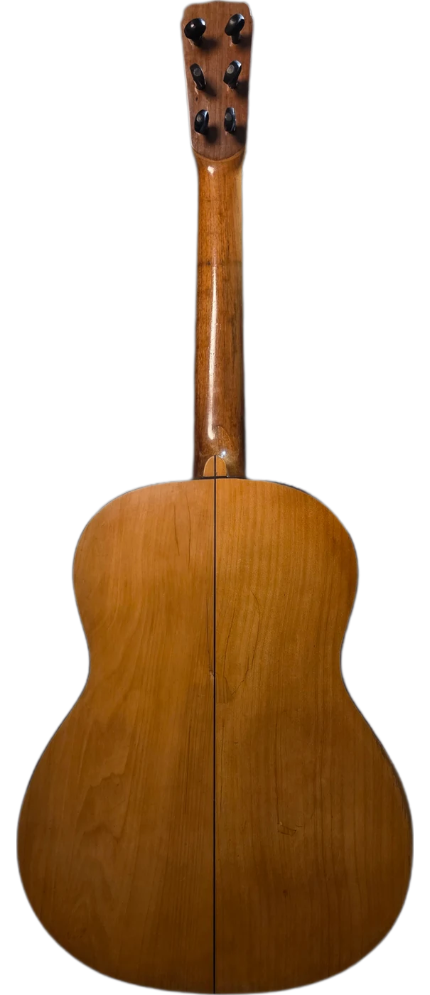 El Ancestro · back view · cypress