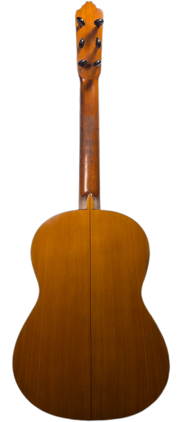 El Callado · back view · cypress