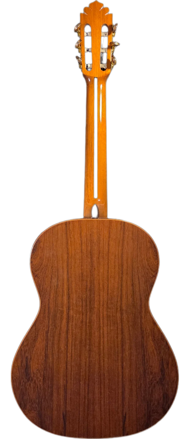 El Caminero · back view · Madagascar rosewood