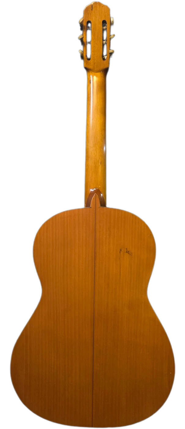 El Fragua · back view · cypress