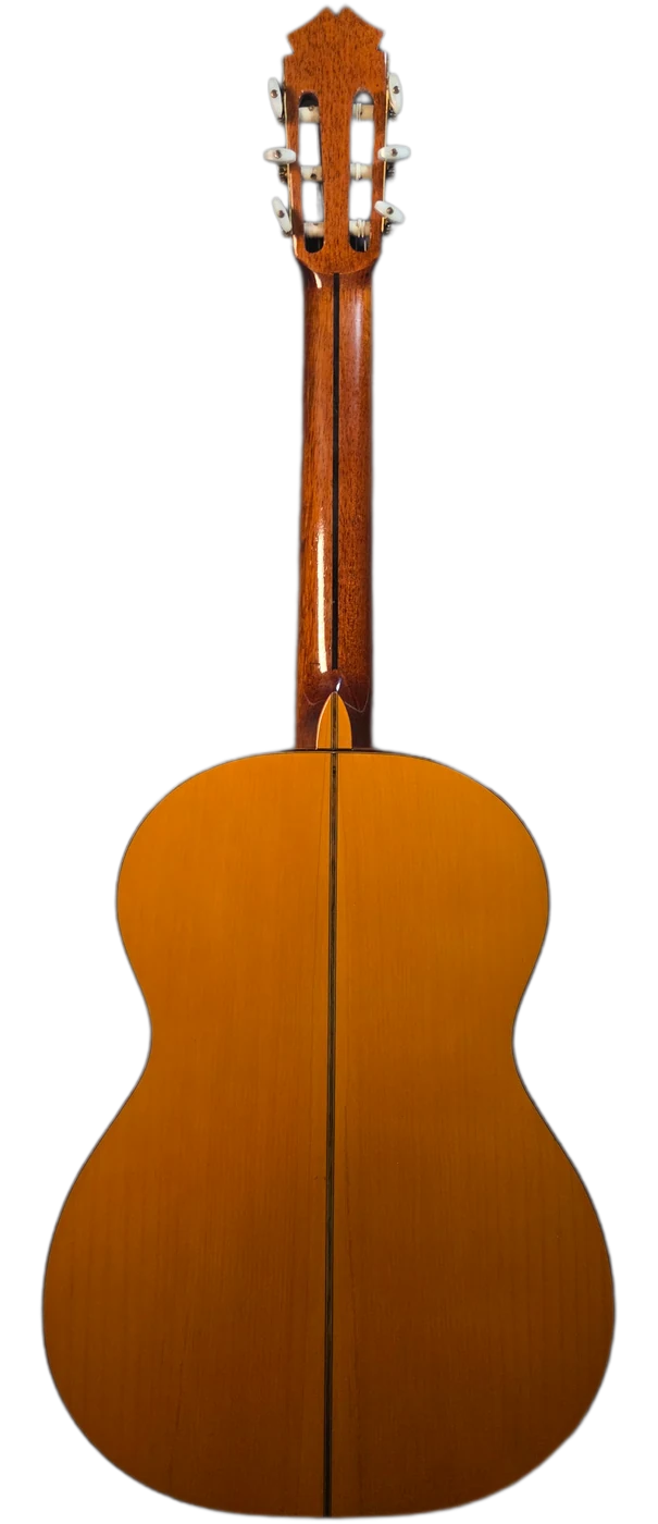 El Hijo · back view · cypress