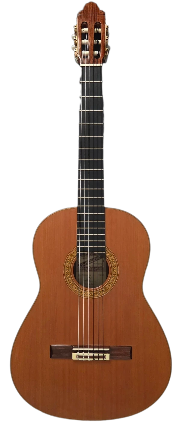 El Maestro · Rafa de Valeriano · 2005 · front view
