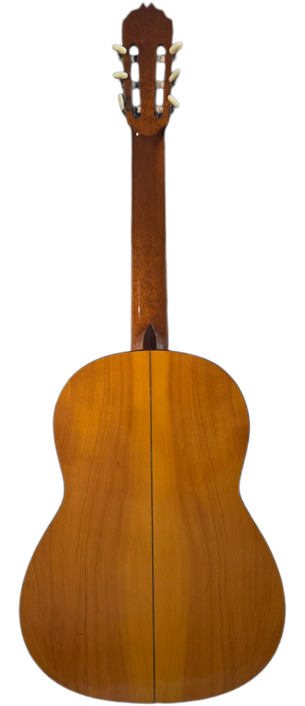El Montañero · back view · cypress