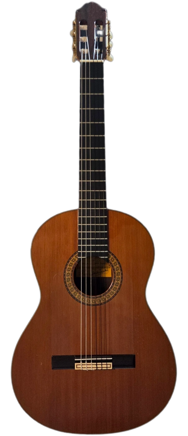 El Nieto · Ricardo Sanchis Carpio · 1989 · front view