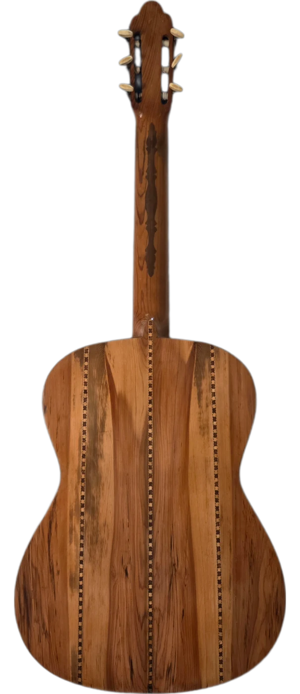 El Silencio · back view · cypress