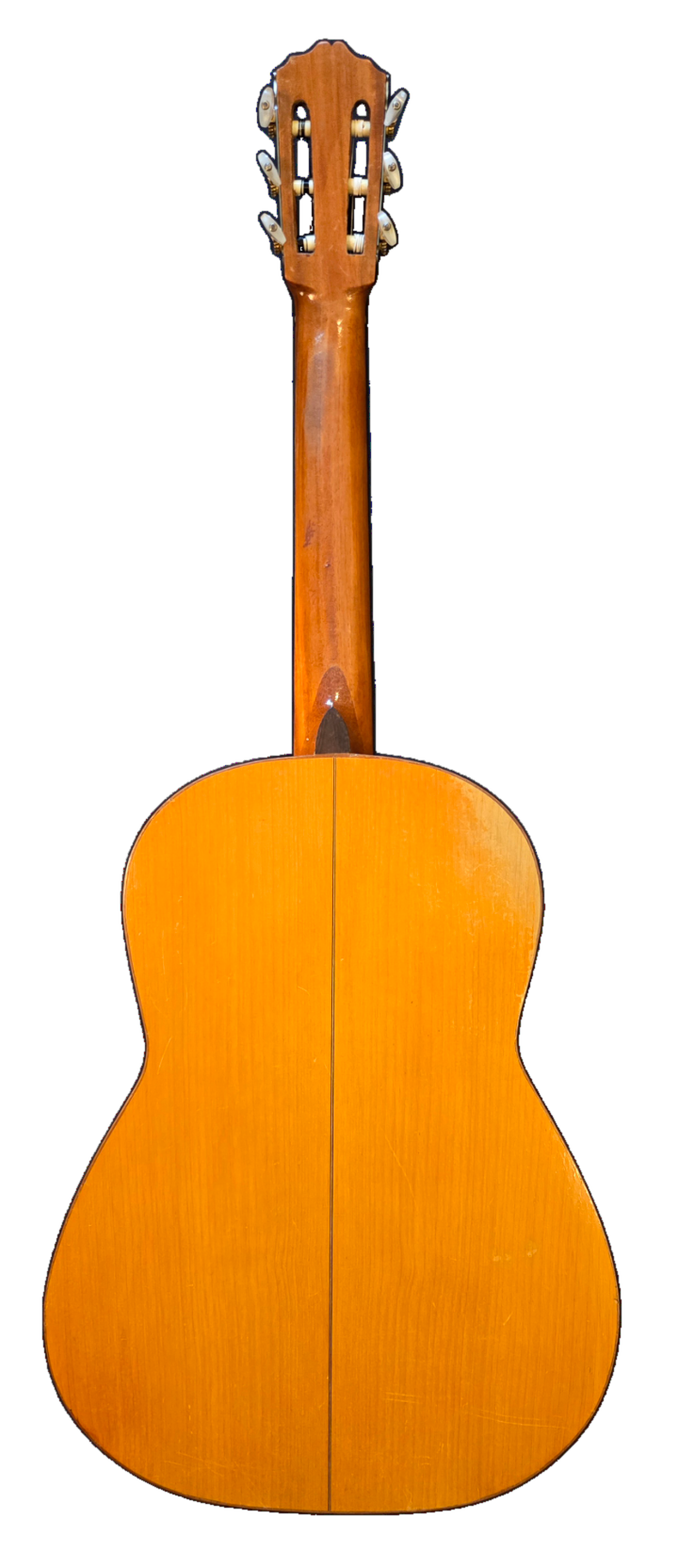 El Toque · back view · cypress