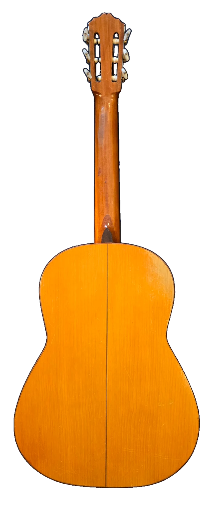 El Toque · back view · cypress