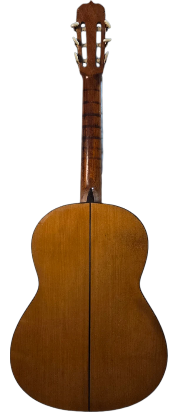 El Varea · back view · cypress