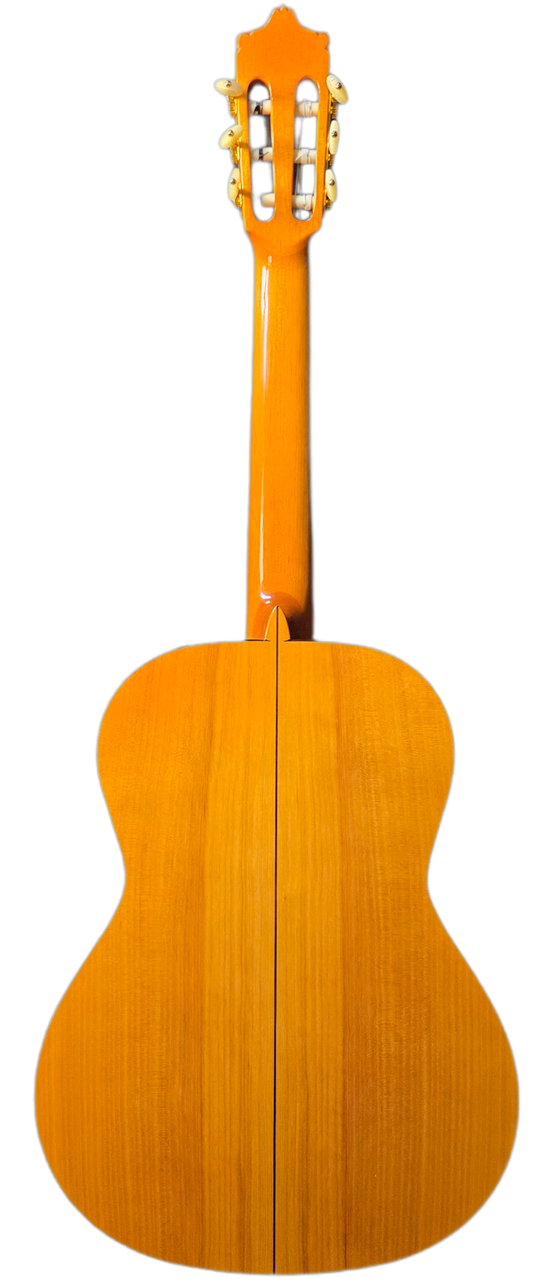 La Castellana · back view · cypress
