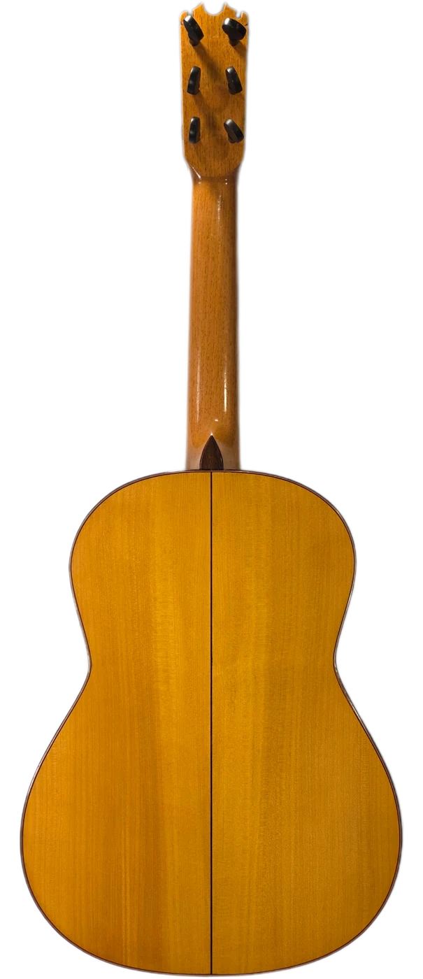 La Frontera · back view · cypress