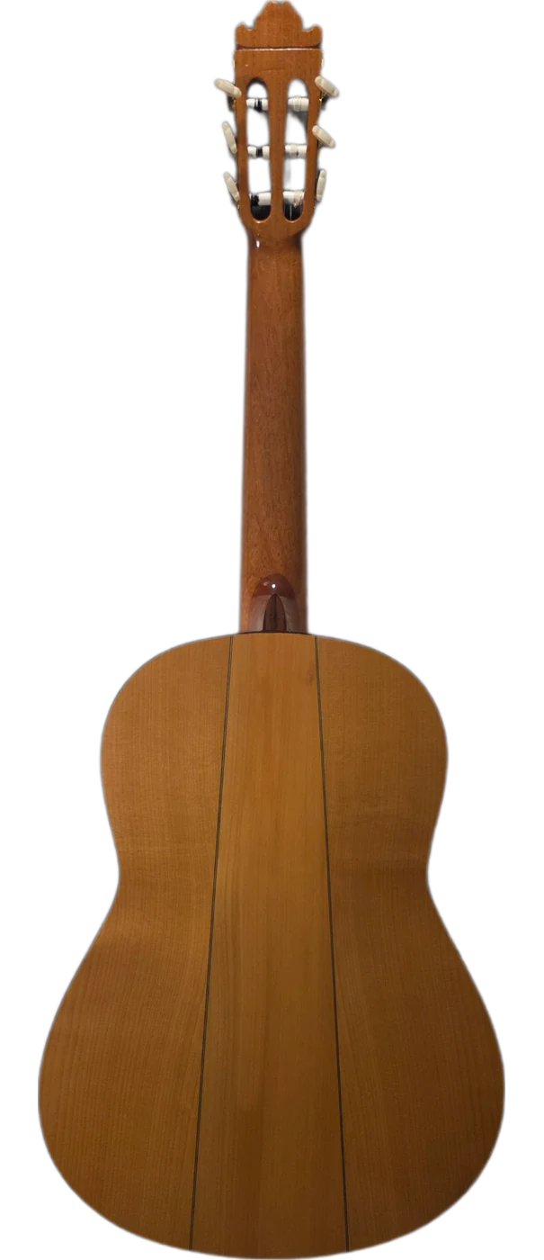 La Guardia · back view · cypress