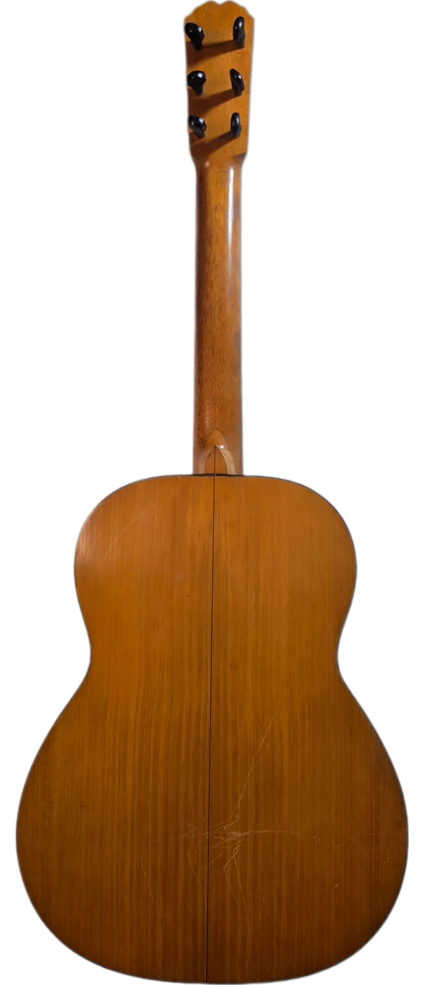 La Llorona · back view · cypress