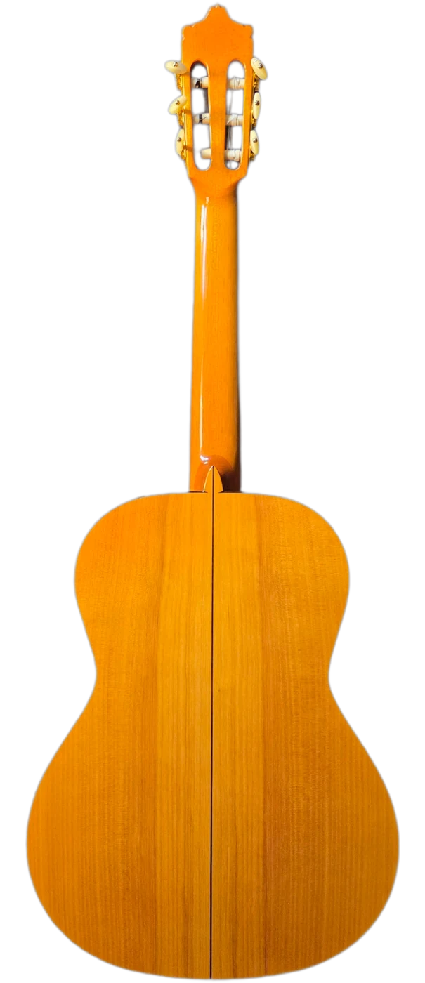 La Señora · back view · cypress