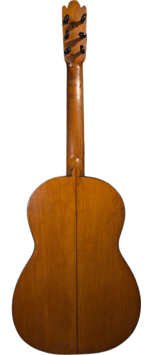 La Sombra · back view · cypress