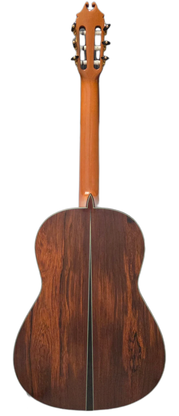 La Voz &middot; back view &middot; Indian rosewood