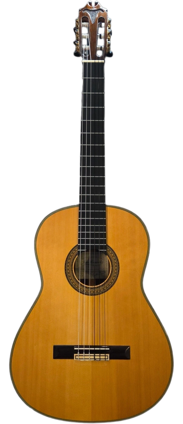 La Voz &middot; Juan Hern&aacute;ndez 2006 &middot; spruce top flamenca negra &middot; front view