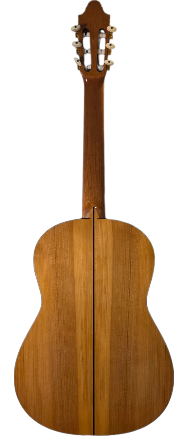 La Zambra · back view · cypress
